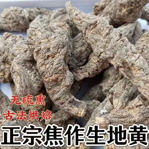正宗河南焦作生地黄个子