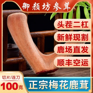 鹿茸片正品 整枝正宗吉林梅花鹿东北头茬二杠切片泡酒中药泡水新鲜