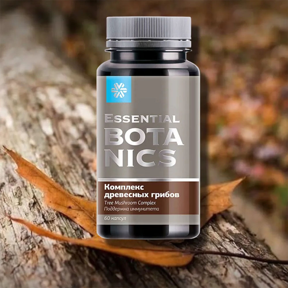 俄罗斯代购Комплекс древесные грибы