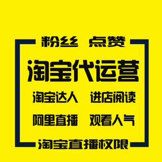 淘宝代运营天猫整店铺商品关键字词优化直通车推广C网店托管服务