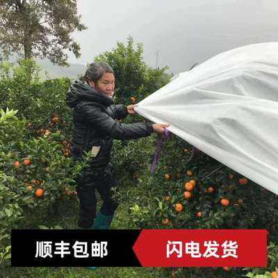 无纺布防雨透气农膜防裂果