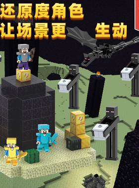 我的世界磁铁方块系列积木人仔全套雾中人末地mc周边拼装模型玩具