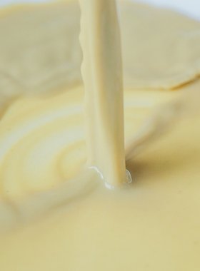 许氏醇品 茶韵豆乳茶饮豆奶粉奶茶营养健康早餐学生老人冲饮速食
