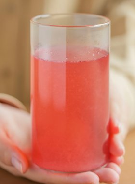 许氏醇品 冻干蔓越莓酵素粉果粉天然冲饮固体饮料植物孝素