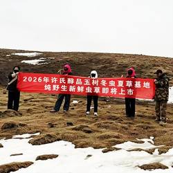 许氏醇品冬虫夏草正宗青海玉树当天新鲜虫草特级野非那曲断草藏生