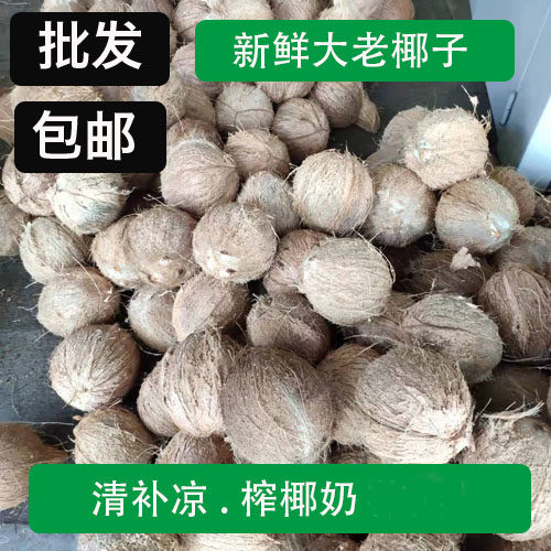 老椰子椰肉榨汁熬汤炖盅清补凉