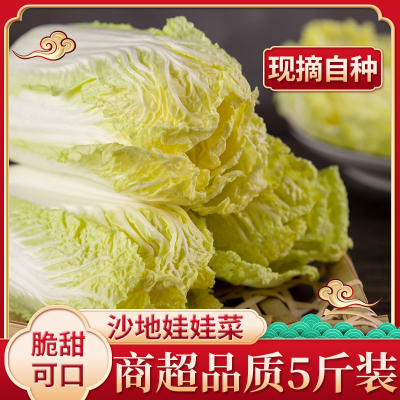 娃娃菜新鲜蔬菜农家菜黄心鲜嫩小白菜冬季现摘非白菜火锅配菜食材