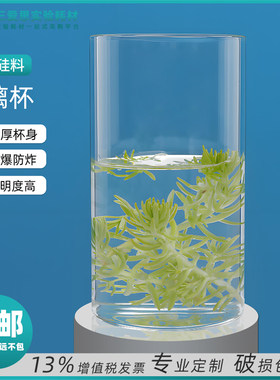 三爱思平底玻璃杯养多肉喝水茶酒