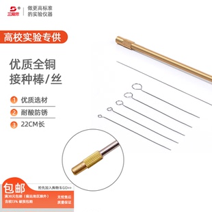三爱思接种棒送镍丝接种环微生物细胞金属铜棒合金接种丝塑柄铜头