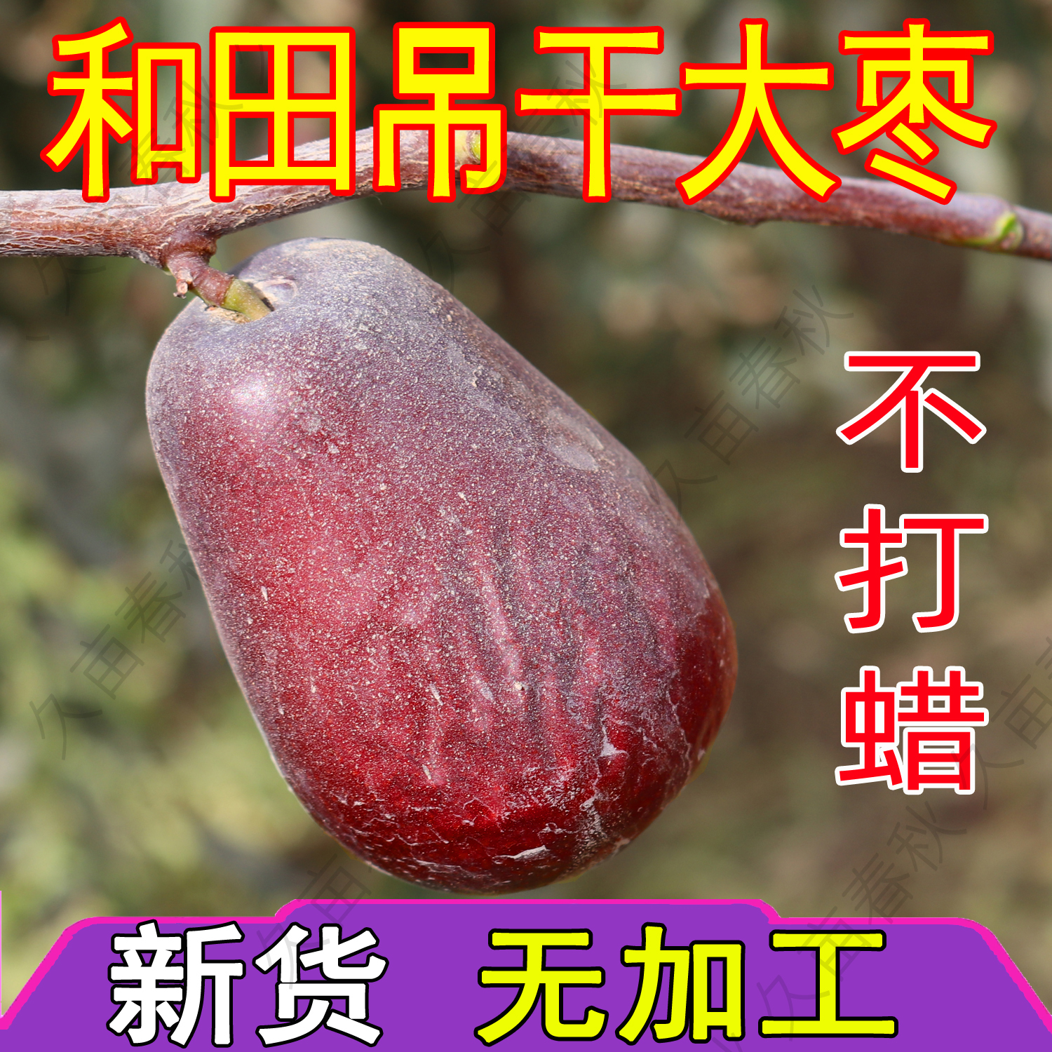 【2024新货】新疆特产和田大红枣骏枣零食玉枣吊干枣土灰枣未加工
