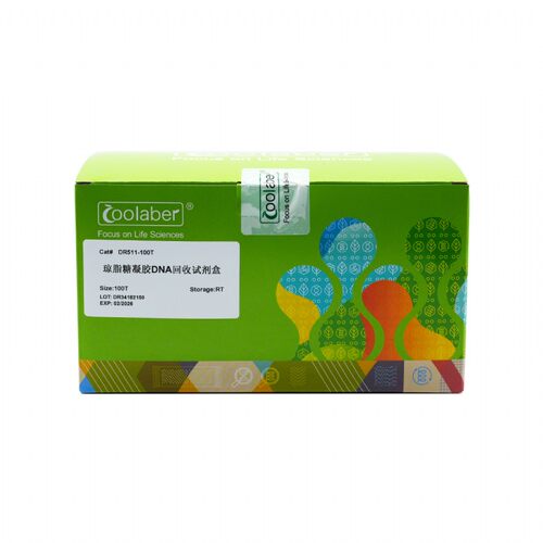 Coolaber/酷来搏 DR511 琼脂糖凝胶DNA回收试剂盒