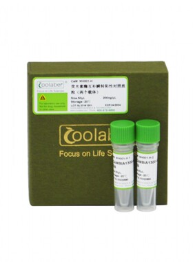 Coolaber/酷来搏 MH001-H 阳性对照质粒(荧光素酶互补瞬转) 10μg