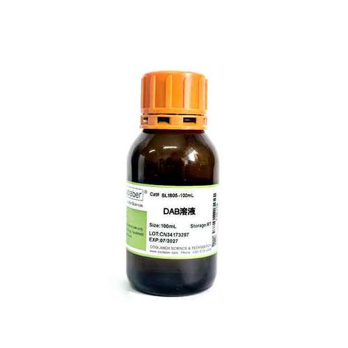 Coolaber/酷来搏 SL1805 DAB溶液（1 mg/mL，pH3.8） 100mL/瓶