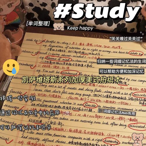 kaisa维塔斯加厚美式拍纸本黄