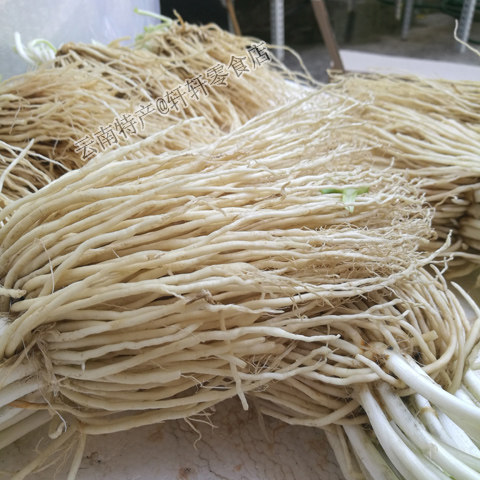 包邮云南苤菜根新鲜蔬菜老品种撇菜根用韭菜炖汤炒腌制新鲜