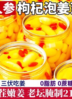 人参枸杞泡姜芽山东淄博特产