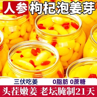 人参枸杞泡姜芽山东特产酸甜腌制脆嫩爽口美味下饭菜新鲜嫩姜凉菜
