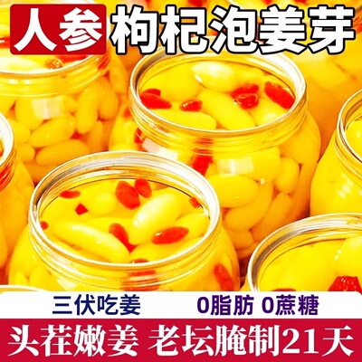 人参枸杞泡姜芽山东淄博特产