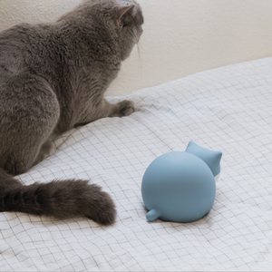猫咪热水袋随身动物装水暖手宝可爱卡通小猫注水暖宝宝冷热两用小