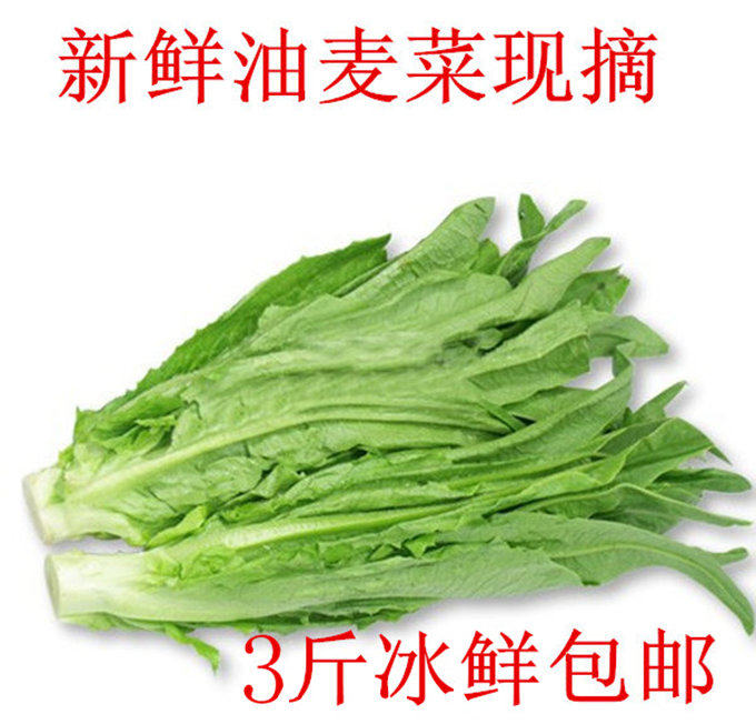 油麦菜新鲜现挖顺丰包邮 山东省农家种植新鲜蔬菜 苦菜生菜莜麦菜