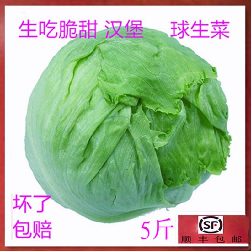 新鲜汉堡球生菜西生菜沙拉食材 农家5斤顺丰包邮奶圆生菜有机蔬菜在类目 水产肉类/新鲜蔬果/熟食, 新鲜蔬菜/蔬菜制品, 新鲜蔬菜, 其它中 - 来自Buy2taobao.com提供专业的淘宝代购服务
