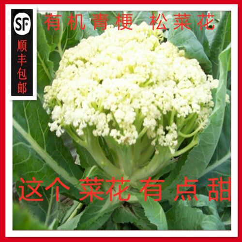 有机白菜花价格 有机白菜花图片 星期三