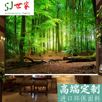 卧室客厅遮光窗帘升降定制