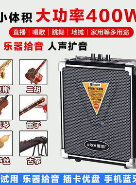 二胡扩音器蓝牙音箱 古筝民乐演出专用音响吉他户外充电手提音响
