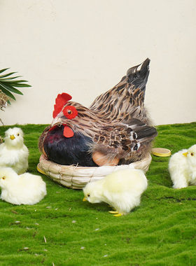 仿真公鸡母鸡模型羽毛摆件田园