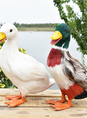 仿真鸡鸭鹅羽毛动物家禽教具摆件