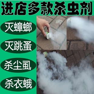 灭蟑螂药跳蚤尘虱书虱衣蛾杀虫剂固体灰白色虫烟雾熏蒸烟雾弹室内