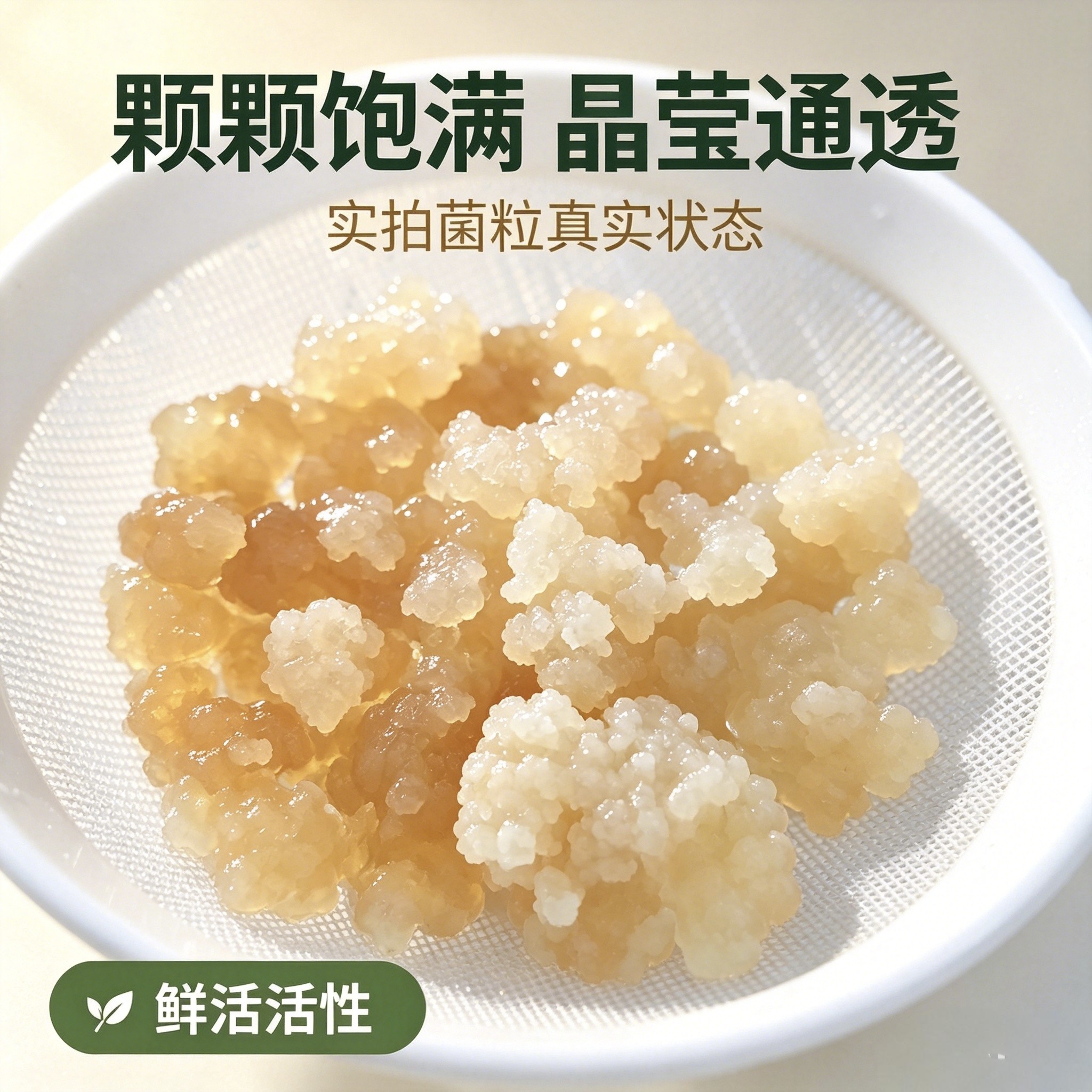 开菲尔菌种水开菲尔开菲尔发酵包活手工养殖自制菌种菌种