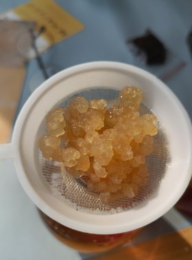 特级太阳菌缇比水晶菌红糖菌雪莲菌水开菲尔Water Kefir Tibicos