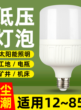 12v灯led灯36V低压灯泡36伏24Vled灯交直流太阳能电瓶专用节能灯