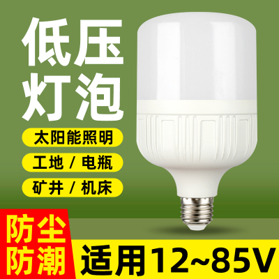 12V24V36V电瓶工地节能低压灯泡