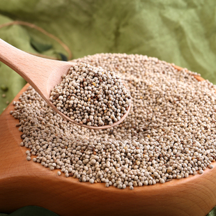 中药材白苏子软苏子鸟食鸟粮宠物饲料 鹦鹉金丝雀芙蓉鸟黄雀500克