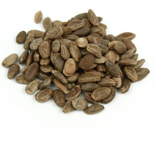 瓜蒌籽安庆潜山地方特产 500g 瓜蒌子 葫芦籽中药材瓜篓子2件包邮