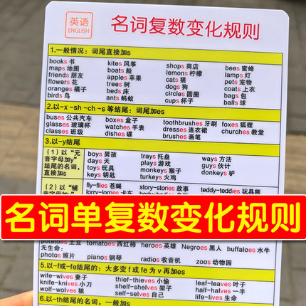 小学初高中英语单数变复数可数名词单复数变化规则语法记忆背诵卡