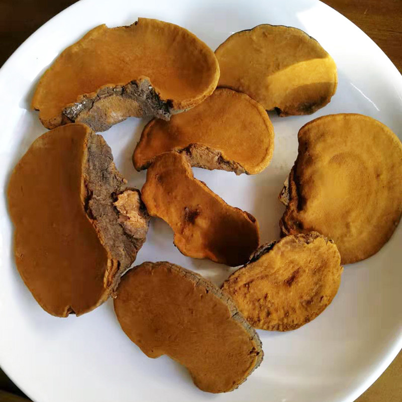 长白山野生桑黄东北桑黄菌茶桑树桑黄灵芝盒装500g包邮