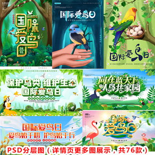 P265鸟类知识国际爱鸟日大自然爱护动物海报DM素材PSD分层图