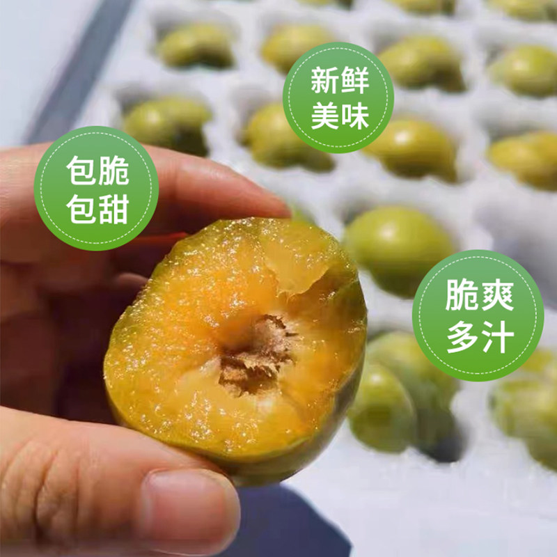 正宗贵州六马蜂糖李当季新鲜水果现摘现发假一赔十脱骨甜顺丰包邮