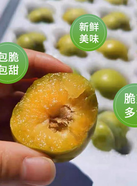 正宗贵州六马蜂糖李当季新鲜水果现摘现发假一赔十脱骨甜顺丰包邮