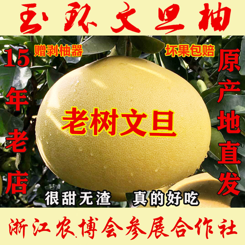 正宗玉环文旦柚子当季整箱孕妇新鲜水果蜜柚浙江台州楚门特产包邮