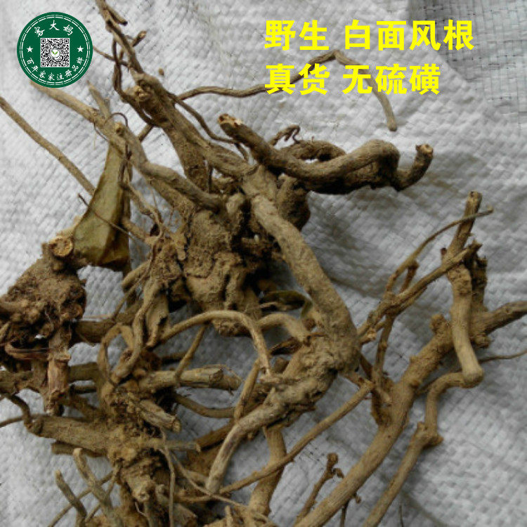 野生客家 白面风根 山白芷乌脚鸡 寻骨风 根头 500g真货 新货包邮