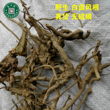 野生客家 白面风根 山白芷乌脚鸡 寻骨风 根头 500g真货 新货包邮