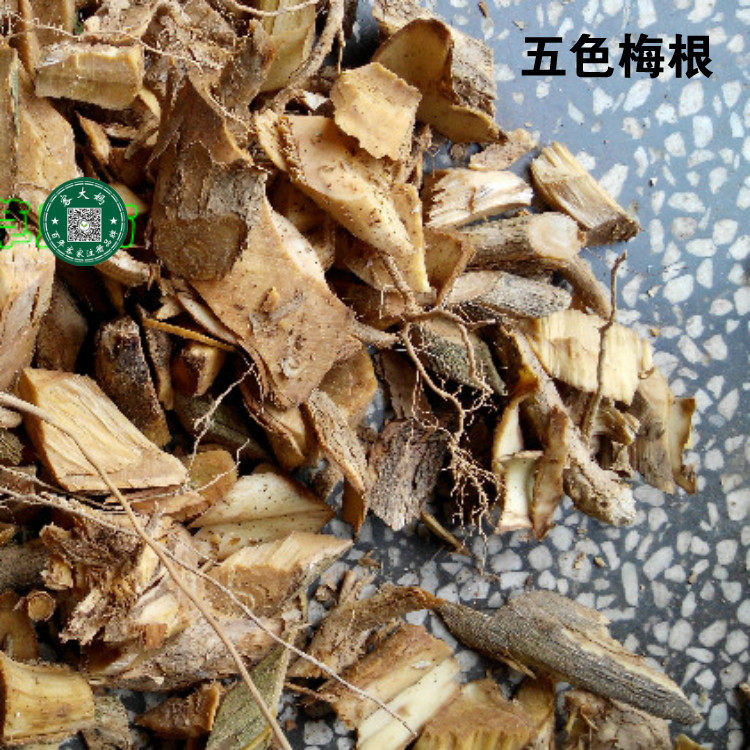 野生刺苏 五色梅根 五色梅 马缨丹 臭花头 500g干品 包邮