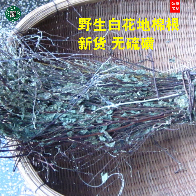 广东客家煲汤料 无硫 白花地棉根 地绵茎    500g 包邮
