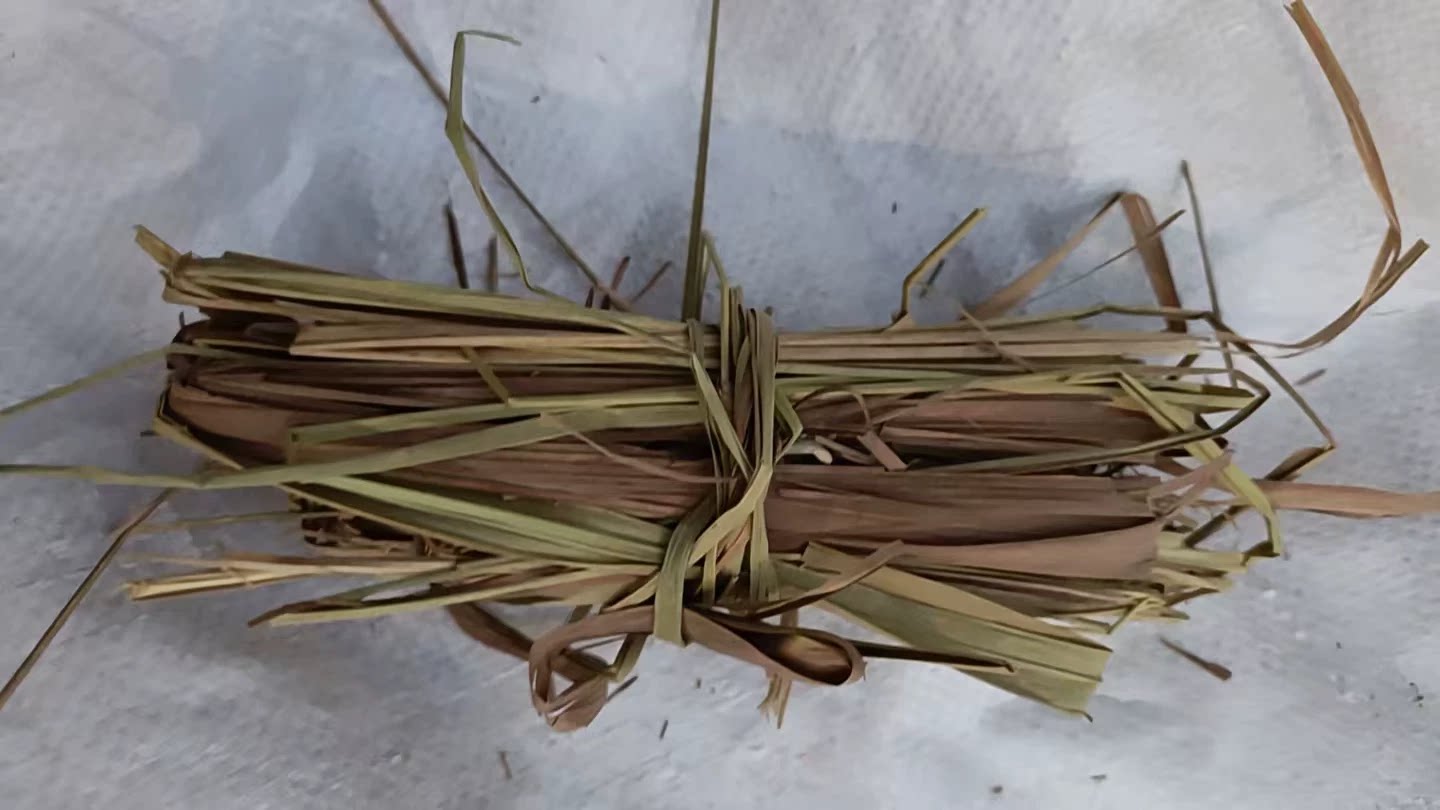 思茅草 苏毛草 白茅草 500克 包邮 思毛草 丝毛草