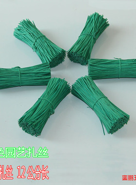 包塑绿色家庭园艺园林植物扎丝 DIY花木扎线铁丝绑线铁芯扎带12cm