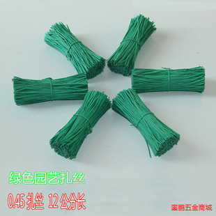 DIY花木扎线铁丝绑线铁芯扎带12cm 包塑绿色家庭园艺园林植物扎丝